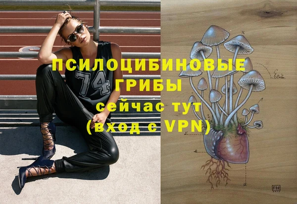 СК Абдулино